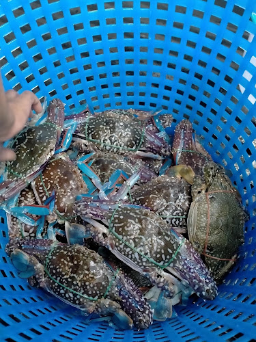 Opinii despre ร้านอาหารทะเล หมึกซาซิมิ@ซีฟู๊ด în อำเภอศรีราชา - การบริการอาหารและที่พัก