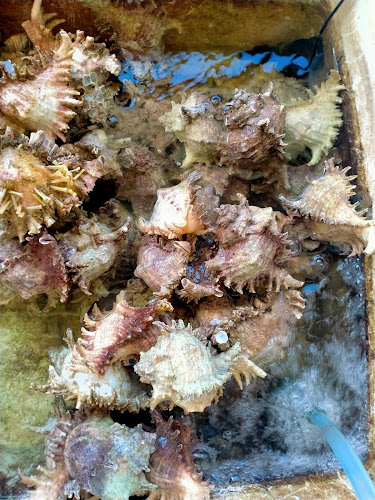 112 3 ถ. ทุ่งสุขลา ตำบลทุ่งสุขลา อำเภอศรีราชา ชลบุรี 20230