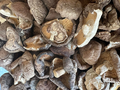 คิม โต๊ะจีน