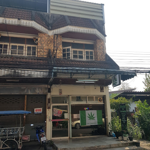 ทรัพย์เพิ่มพูน420 World of Cannabisและร้านขายของชำ - เมือง