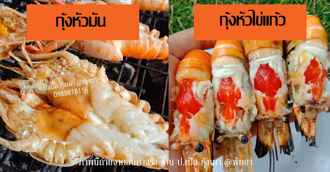 ป.เปิ้ล กุ้งเผาพัทยา(กุ้งหัวไข่แก้วคัด) - อำเภอบางละมุง
