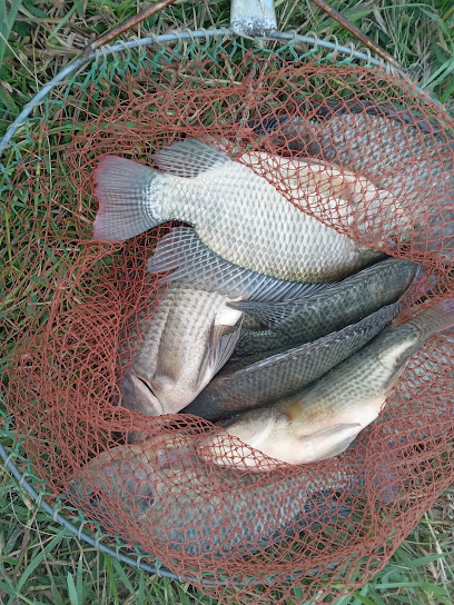 ขายอาหารทะเลแห้ง