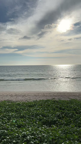 Drinks & Co. Depot - Phuket - การบริการอาหารและที่พัก