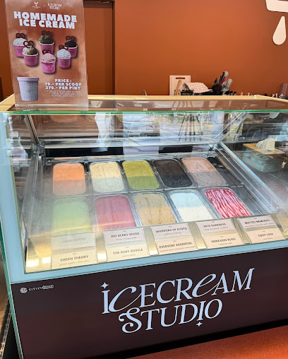 ice cream studio