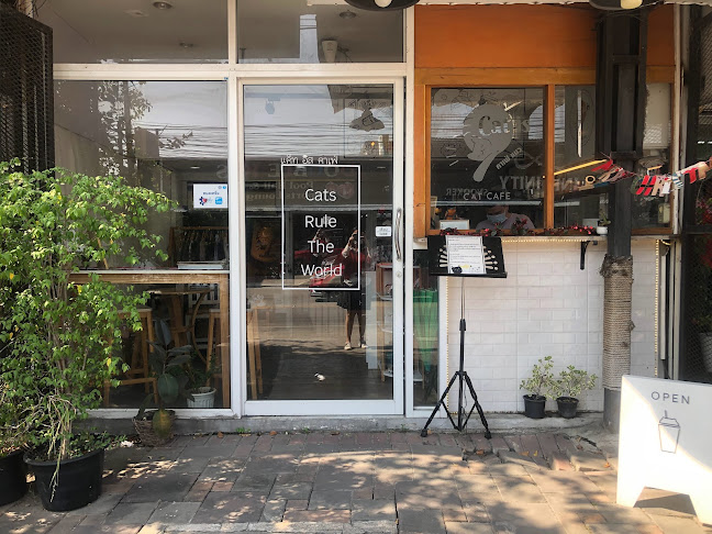 คาเฟ่แมวCat is