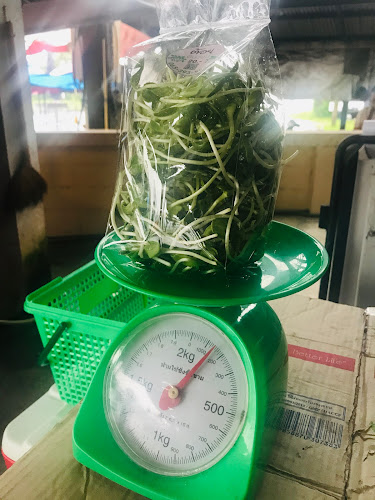 9 หมู่ 1 ถ. เทพกระษัตรี ตำบล ศรีสุนทร อำเภอถลาง ภูเก็ต 83110