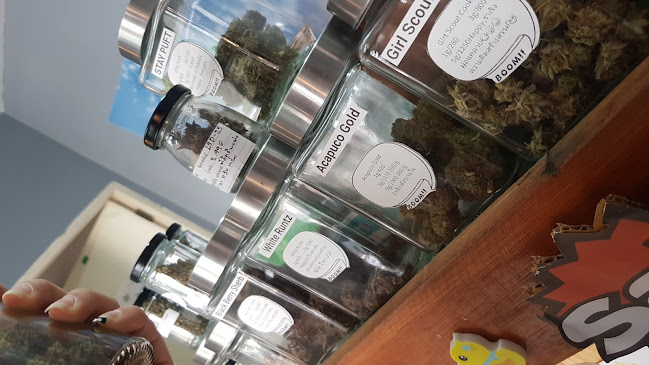 ทรัพย์เพิ่มพูน420 World of Cannabisและร้านขายของชำ - เมือง