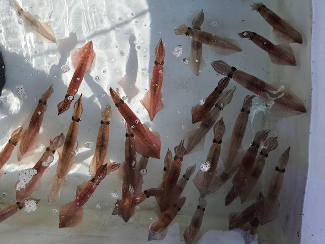 112 3 ถ. ทุ่งสุขลา ตำบลทุ่งสุขลา อำเภอศรีราชา ชลบุรี 20230