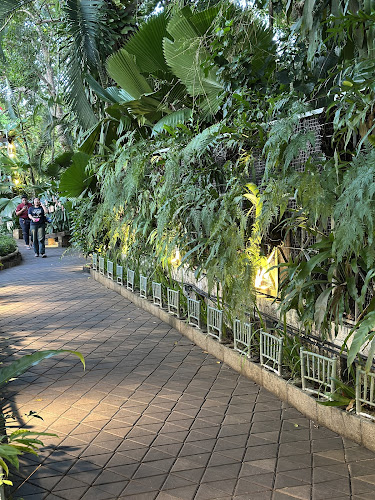 Comentarii opinii despre Tunk-ka Cafe local cuisine restaurant / ทุ่งคา-กาแฟ ร้านอาหารพื้นเมือง