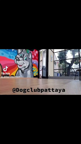 38 10 Soi South เมืองพัทยา อำเภอบางละมุง ชลบุรี 20150