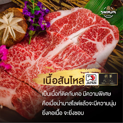 260 29 ถ. เยาวราช ตำบลตลาดใหญ่ อำเภอเมืองภูเก็ต ภูเก็ต 83000