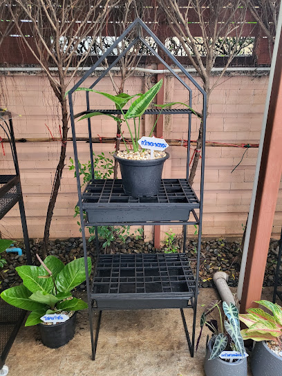 Make today a Happy day