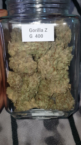 ทรัพย์เพิ่มพูน420 World of Cannabisและร้านขายของชำ