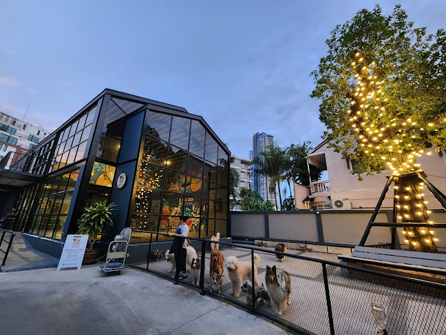 Comentarii opinii despre Dog Club Pattaya