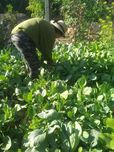 Comentarii opinii despre อาหารปลอดภัย by แม่อั้ม