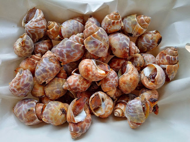 เมืองพัทยา อำเภอบางละมุง ชลบุรี 20150