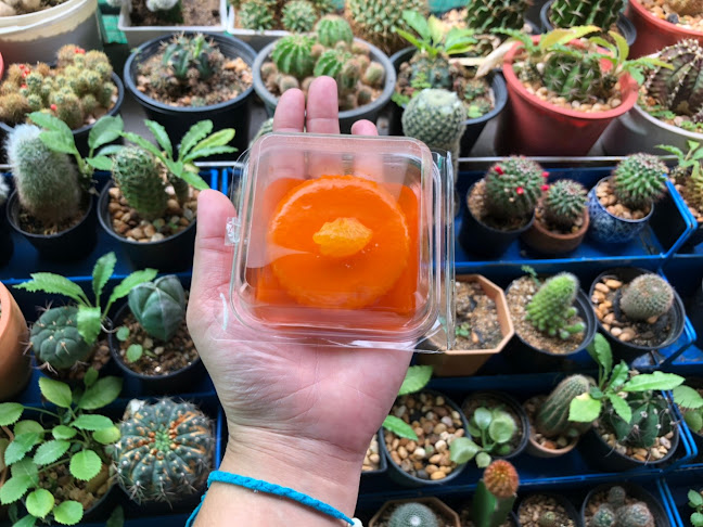 กิมเล้งเบเกอรี่ สาขาตลาดเทศบาล 5