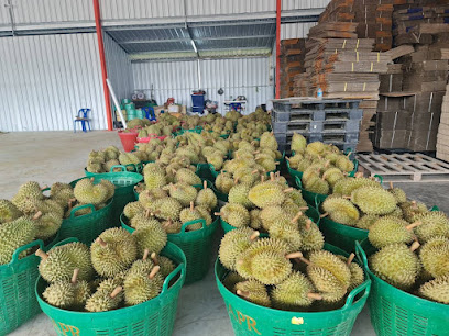 จันทร์จ้าว