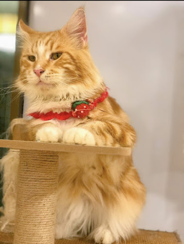 373 12 ม.9 หนองปรือ อำเภอบางละมุง ชลบุรี 20260