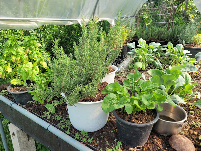 Comentarii opinii despre Cafe Restique