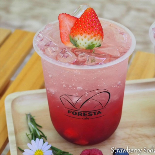 Pumeria Glamping Foresta - การบริการอาหารและที่พัก