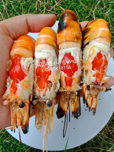 Opinii despre ป.เปิ้ล กุ้งเผาพัทยา(กุ้งหัวไข่แก้วคัด) în อำเภอบางละมุง - การบริการอาหารและที่พัก