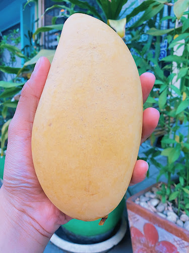 82/16 ถนน เอกาทศรฐ ตำบล ในเมือง เมือง พิษณุโลก 65000