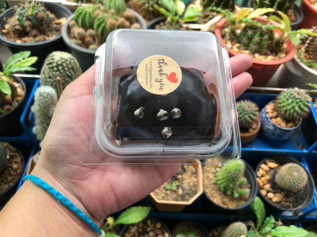 กิมเล้งเบเกอรี่ สาขาตลาดเทศบาล 5 - เมือง