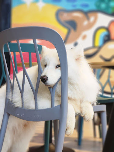 Dog Club Pattaya - การบริการอาหารและที่พัก