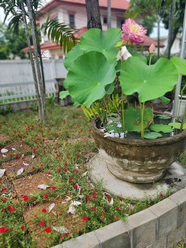 Comentarii opinii despre ชลาสินธุ์ชิปยาร์ด (Shalasindhu Shipyard) / อู่ต่อเรือเถ้าแก่เทียน