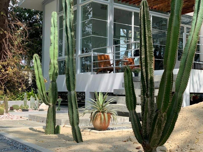 Opinii despre Le Petit Jardin în อำเภอเมืองนครปฐม - การบริการอาหารและที่พัก