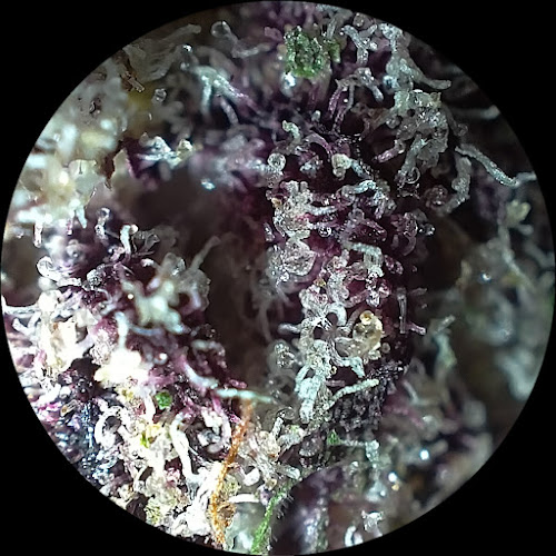 133/30 เมือง ระยอง 21000