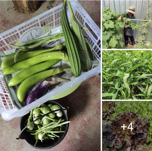 malaiman, meung, นครพนม