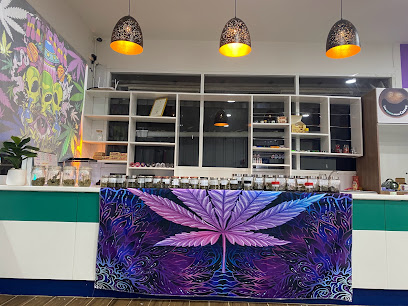 Two Wheels coffee & Scooter for rent