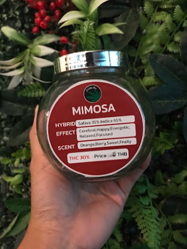 ร้านอาหารไทย - อำเภอเมืองภูเก็ต