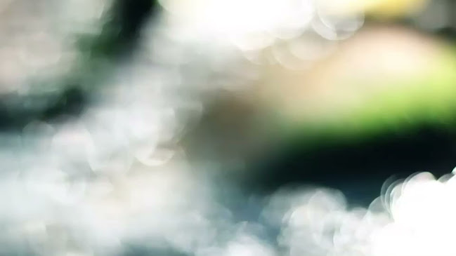 Opinii despre Pumeria Glamping Foresta în อำเภอถลาง - การบริการอาหารและที่พัก