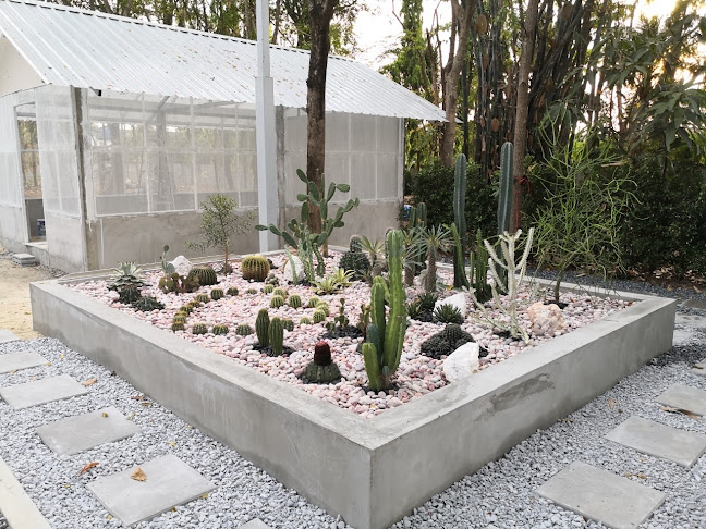 35 ถ. ไผ่เตยใต้ ตำบลห้วยจรเข้ อำเภอเมืองนครปฐม นครปฐม 73000