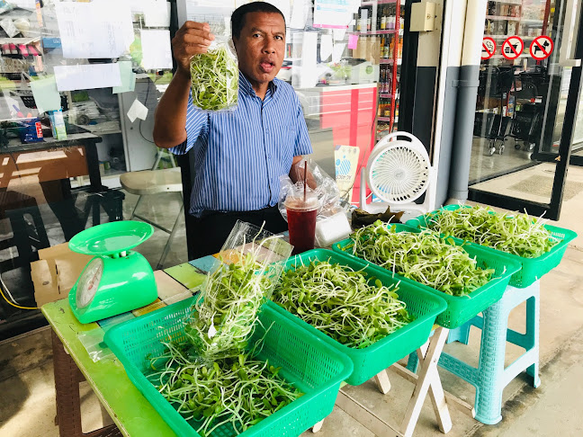 Opinii despre ร้านกุ๊กไก่ ชาบังนัน สาขา 8 în อำเภอถลาง - การบริการอาหารและที่พัก