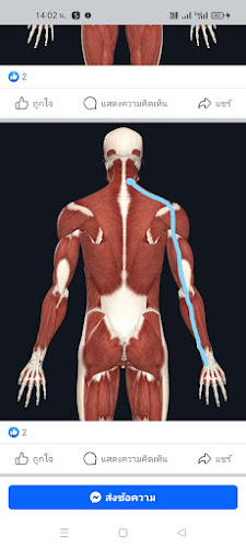 Comentarii opinii despre หม่องนวดเพื่อสุขภาพ (เสบียงจิ๊กโก๋) mong massage