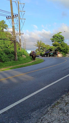 20-4 ซอยพระบารมี5 ตำบลป่าตอง อำเภอกะทู้ ภูเก็ต 83150