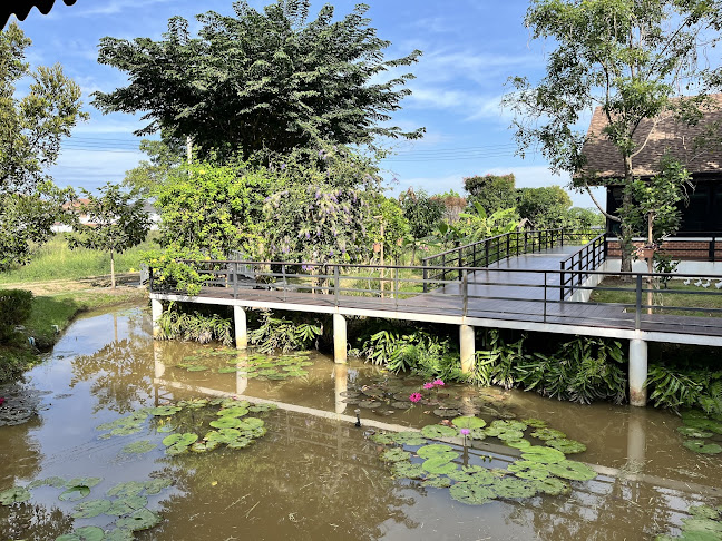 กาแฟชายทุ่ง