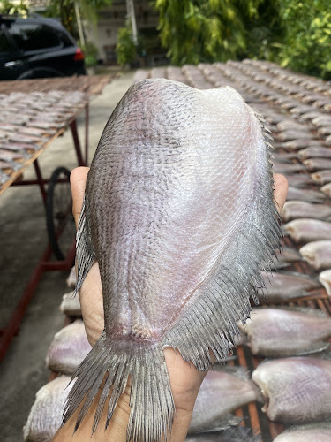 Comentarii opinii despre ปลาเกลือแม่บุญส่ง