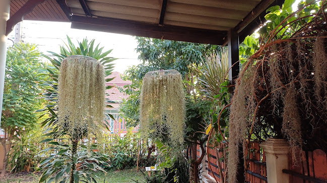 ร้านกาแฟชาวดอย - การบริการอาหารและที่พัก