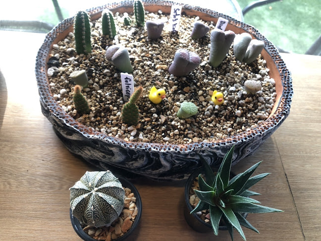 Comentarii opinii despre Reunrom Cafe&Bistro