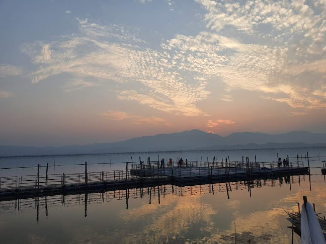 ท่าปลาคาเฟ่สันแกลบดำ - การบริการอาหารและที่พัก