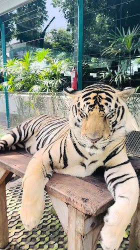 WV9Q+JJQ พัทยาใต้ 1 เมืองพัทยา อำเภอบางละมุง ชลบุรี 20150