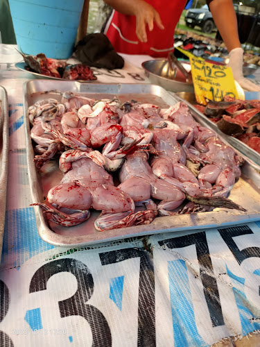 Comentarii opinii despre Evening market