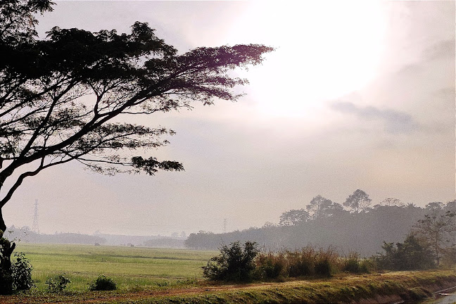 34/1 ม.2ต ตำบล นาท่อม อ.เมือง พัทลุง