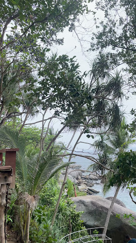 Comentarii opinii despre เสื่อผืน หมอนใบ