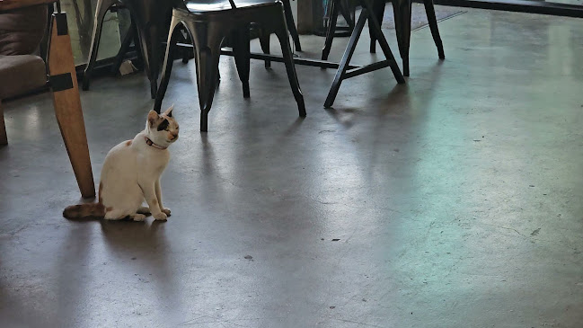 Comentarii opinii despre Guu&You กูแอนด์ยู ศรีราชา